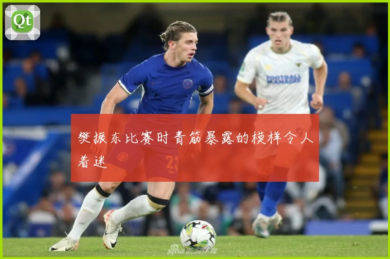 樊振东比赛时青筋暴露的模样令人着迷