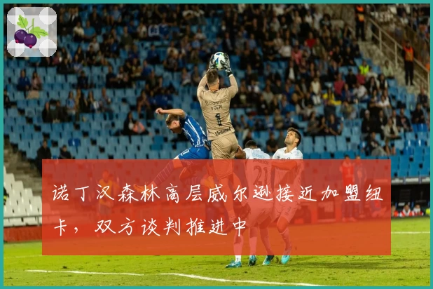 诺丁汉森林高层威尔逊接近加盟纽卡,双方谈判推进中