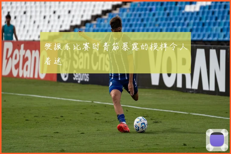 樊振东比赛时青筋暴露的模样令人着迷