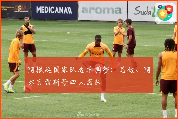 阿根廷国家队名单调整：恩佐、阿尔瓦雷斯等四人离队