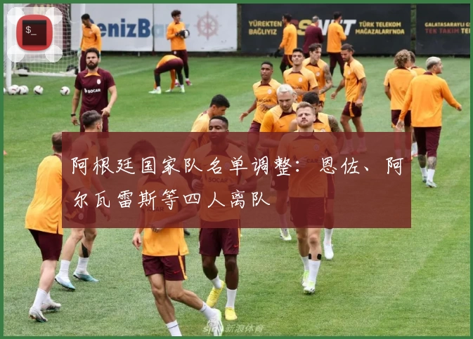 阿根廷国家队名单调整：恩佐、阿尔瓦雷斯等四人离队